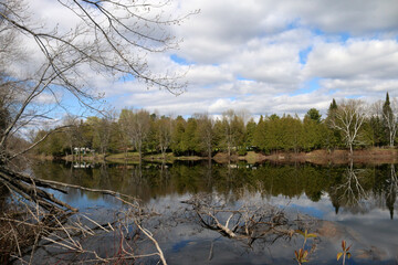 River Scenic near Peterborough Ontario