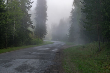 landscape with an empty road turn, along the edges of tree silhouettes in the fog