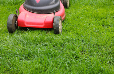 Green lawn. Neat work. Red electric lawn mower in work mows green grass.