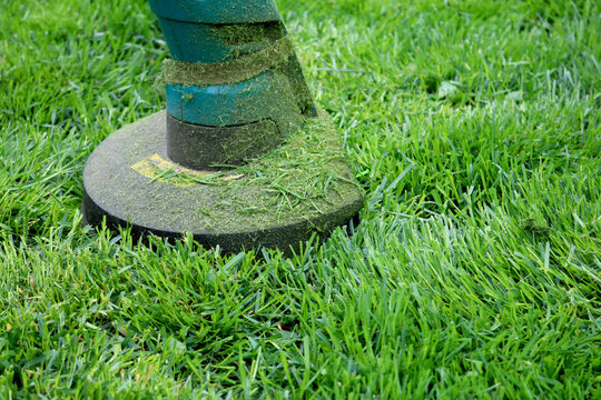 Lawn mower trimer mows grass. Green lawn. Neat work. 