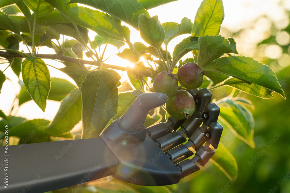 Aufkleber robot works in a fruit garden. digital transformation in agriculture and smart farming