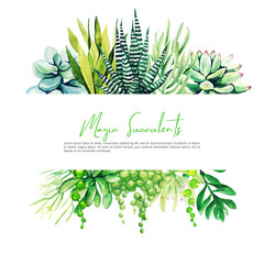 Horizontal banner with watercolor cactus and succulent plants