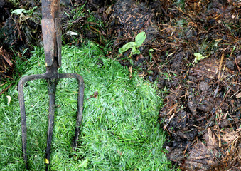 Compost heap. Rotted brown mass and green grass waste. Pitchfork tools metal.