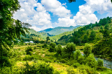 Naklejka na ściany i meble Magical green mountains of Roopkund, Uttarakhand, India. 