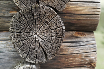 Close-up view of the old weathered ends of round log wall. Natural texture, wallpaper or background