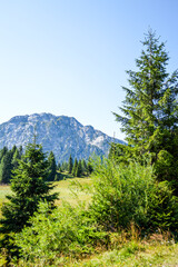 Fototapeta na wymiar Panoramic view of the Julian Alps in summer, seen from passo Pramollo on the border between Italy and Austria. Mountain Landscape.