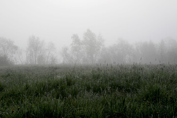 Obraz na płótnie Canvas early foggy morning