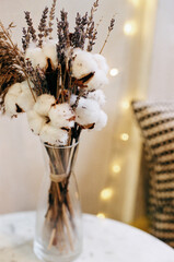 Cotton buds bouquet in a vase, film photography - 353650882