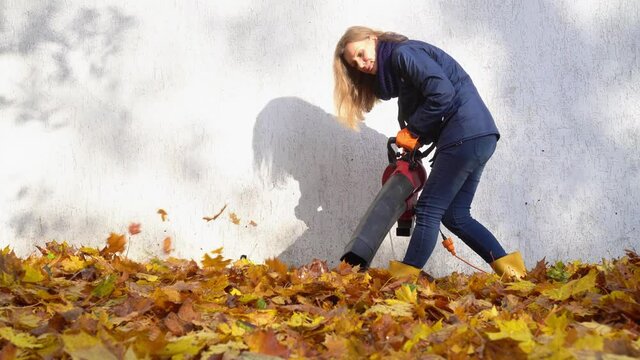 The leaves are blowing away