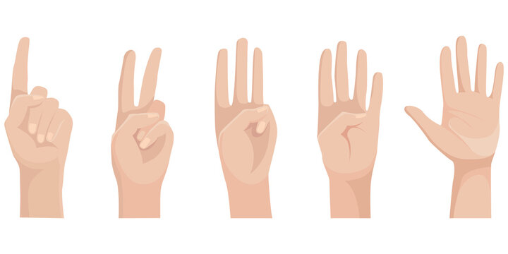 Set of human hands with raised up fingers. Wrists in cartoon style.