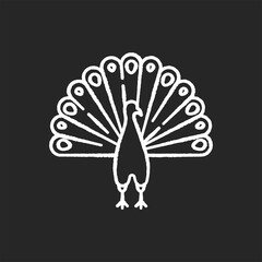 Peacock chalk white icon on black background. Indian peafowl with spread feathers. Pheasant species. Bird native to India. Asian wildlife. Isolated vector chalkboard