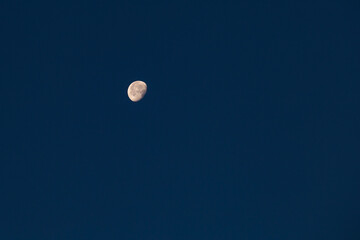 Crescent in the blue evening cloudless sky. Moon in the sky