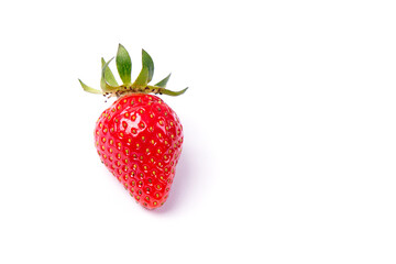 One Strawberry berry isolated