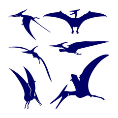 Set of Pterosaurs logo design vector. Icon Symbol. Template Illustration © shuttersport