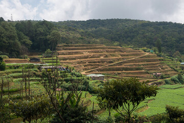 Landscape of Horton Plains National Park, Sri Lanka