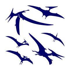 Set of Pterosaurs logo design vector. Icon Symbol. Template Illustration © shuttersport
