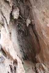 Grottes de Pak Ou, Laos