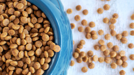 Dry pet food. Food for dogs. Cat food. Fine dry food in a bowl. Close-up