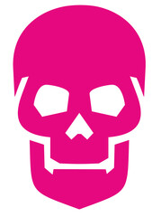 Gothic sign with skull, grunge vintage design t shirts