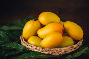 Mango tropical fruit with green leaf in wooden basket put on wooden background with copy space