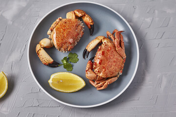 Seafood. Boiled crabs on plate served with lemon, herb. 
Top view