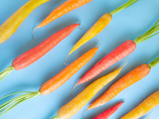 Colorful carrots isolated on blue background