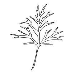 Vector. Aconitum flowers. Contours of flowers. Vector decor for wedding invitation.