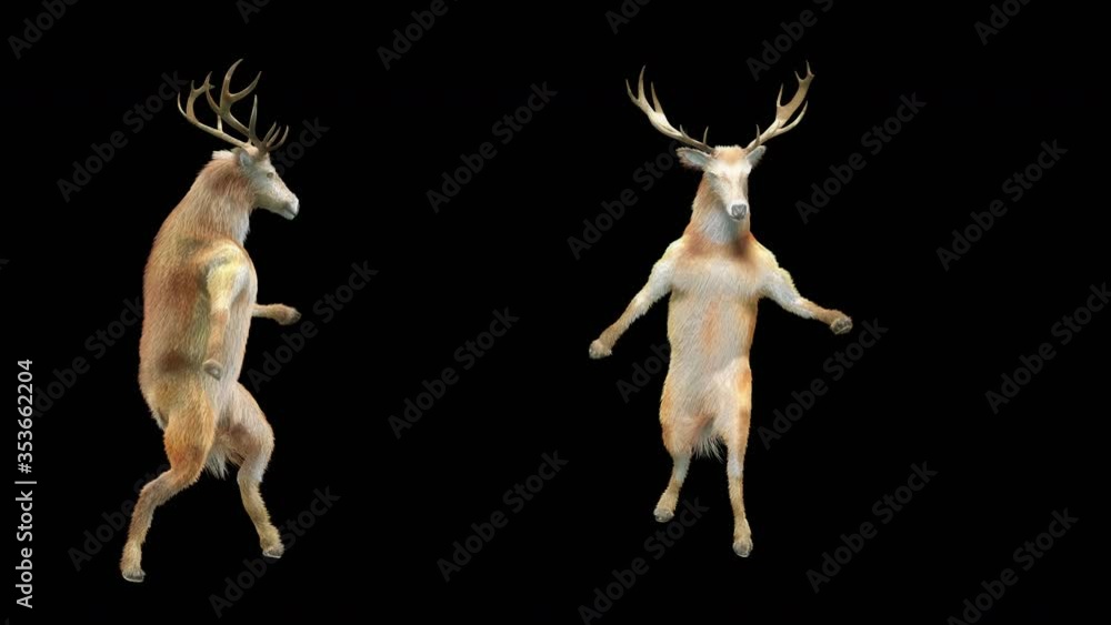 Poster deer dance cg fur 3d rendering animal realistic cgi vfx animation loop composition 3d mapping cartoo