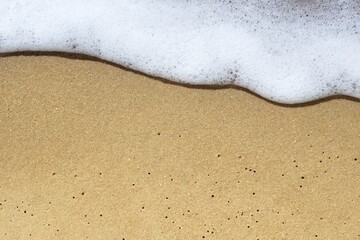 on the sandy beach a beautiful foamy wave in the background.