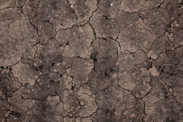 Natural background where focus is soft. Macro shot. Cracked earth.