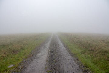 a dirt road in the morning fog on the field