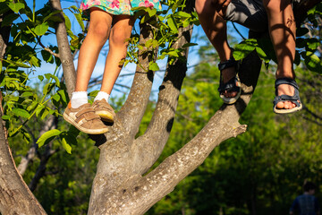Kids sit on a tree with legs hang down. Childhood at nature concept
