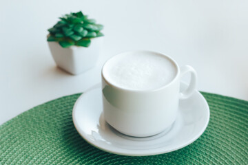 Cup of cappuccino and green plant on white background close up