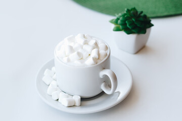 Fototapeta na wymiar Cup of cappuccino with marshmallow and green plant on white background
