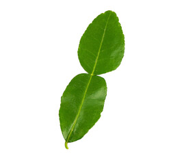 Naklejka na ściany i meble Bergamot leaves isolated on a white background. Top view and Clipping paths