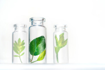 Bottles with herbs for natural essential oils and organic cosmetics on the white background. Concept of an eco laboratory for the production of natural products, supplement, cosmetics