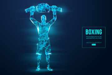 Abstract silhouette of a wireframe boxer fighter with boxing gloves on the blue background. Boxer is winner. Convenient organization of eps file. Vector illustration. Thanks for watching