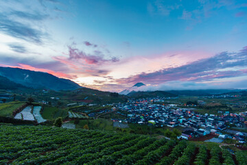Fototapeta na wymiar landscape of the mountains in Dieng Central Java Indonesia