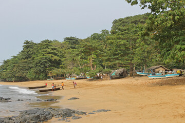 A partial view of the Sundy beach on the northwest coast of island of Príncipe, the flora in this...