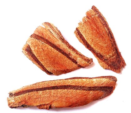 the  Butea superba is in the FABACEAE or  LEGUMINOSAE family