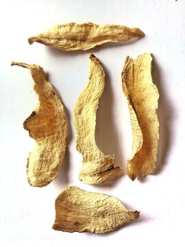 Pueraria mirifica or  White kwao krua or Pueraria candollei