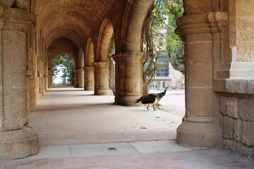 Greece. The Island Of Rhodes. The Culture Of Greece. Sights and nature of Greece.
