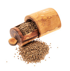 Coriander seeds in a wooden box isolated on white background