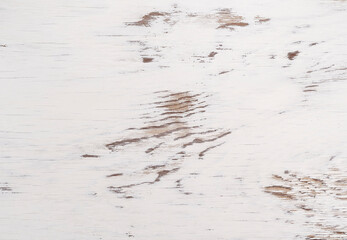White wood plank texture. Wooden background.