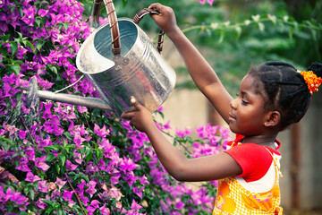 African gardener