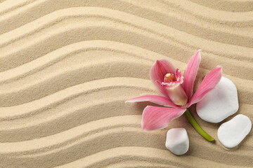 Orchid and stones on sand background, top view. Zen concept