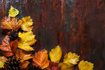 Fallen leaves on wooden background, top view, copy space