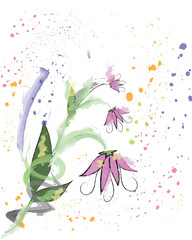 Beautiful abstract simple line art doodle wildflower illustration in watercolor style with colorful paint splashes on white background.