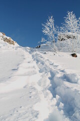 Winter Russia Forest Trees Mountains Snow Cold Path Creek Trees