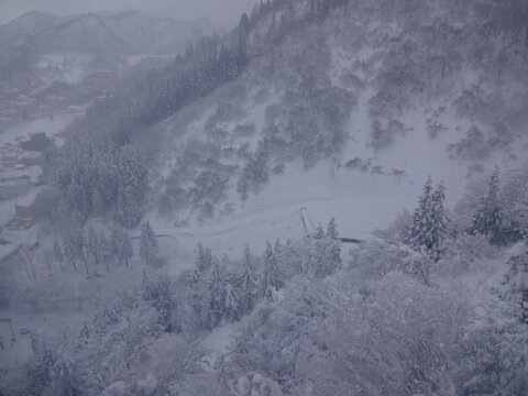 The View Of Snow In Niigata, Japan